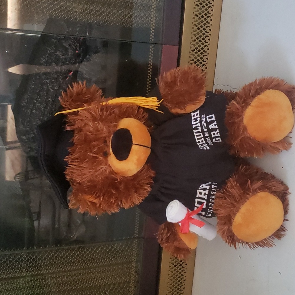 🎓 Graduation from York University 🧸 teddy bear FREE DELIVERY